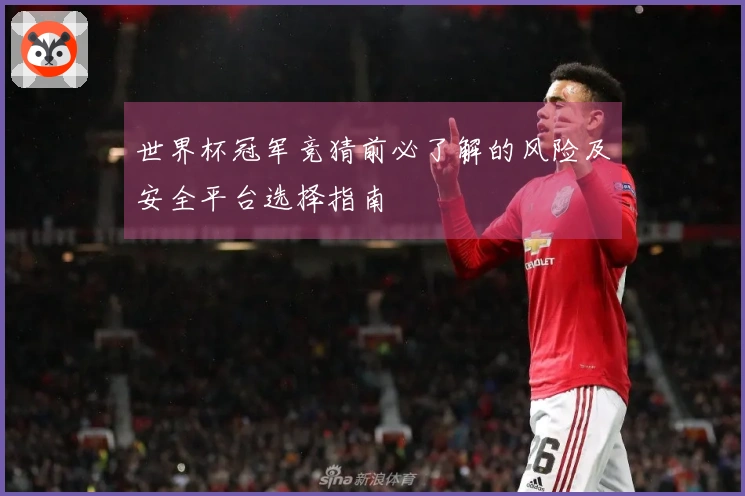 世界杯冠军竞猜前必了解的风险及安全平台选择指南