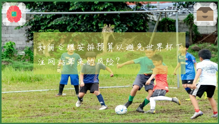 如何合理安排预算以避免世界杯下注网站带来的风险？