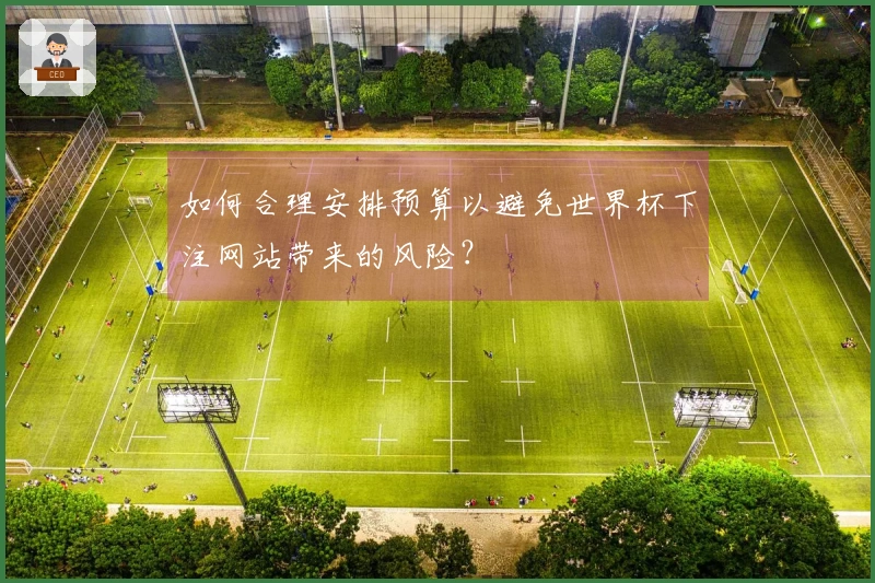 如何合理安排预算以避免世界杯下注网站带来的风险？